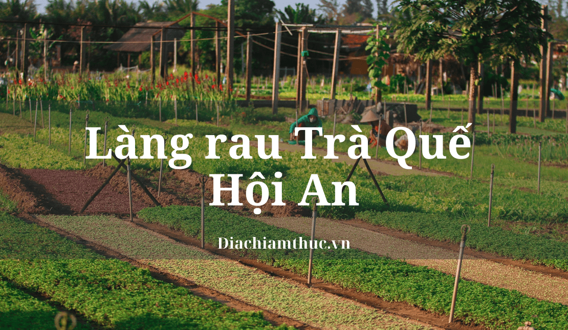 Làng rau Trà Quế Hội An