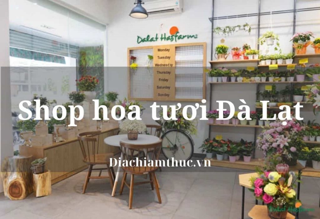 Shop hoa tươi Đà Lạt