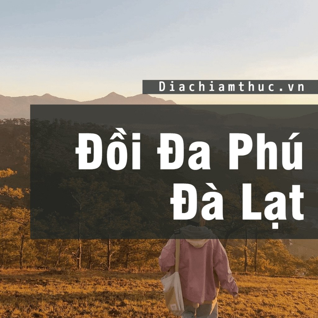 Đồi Đa Phú Đà Lạt