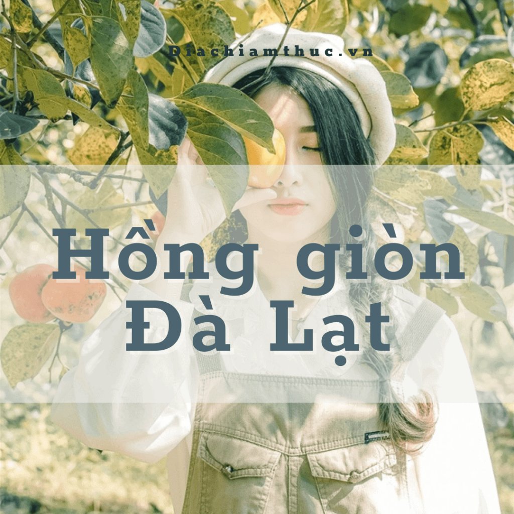 Hồng giòn Đà Lạt