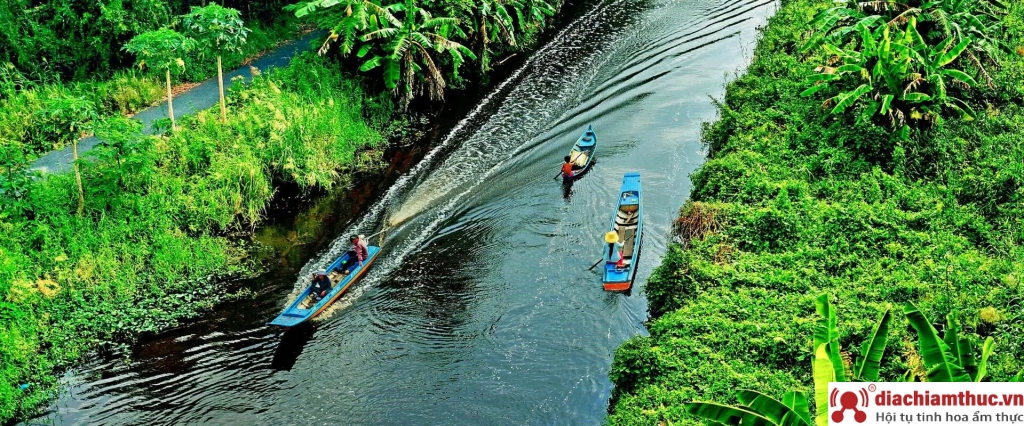 Rừng U Minh Hạ