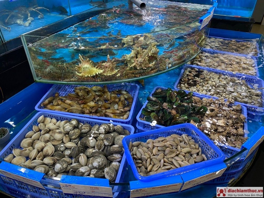 Hải Sản Hạ Long Bay