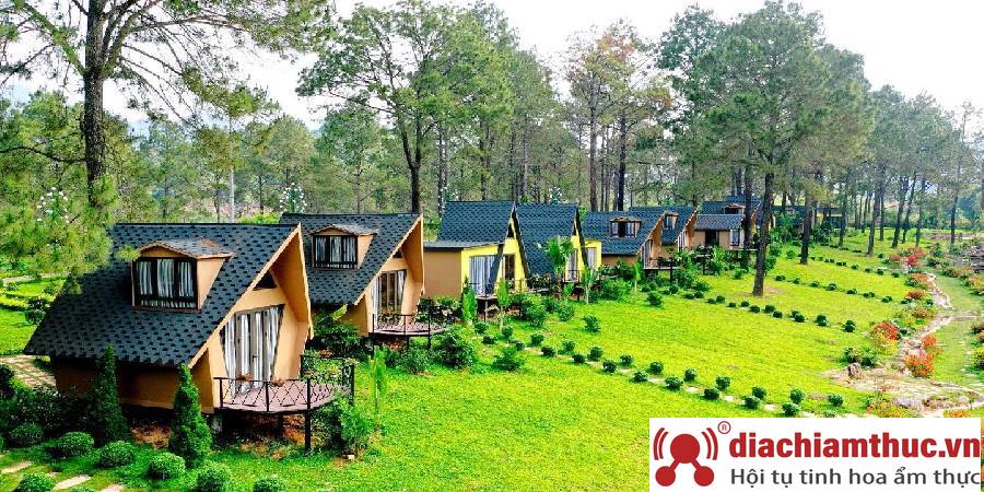 Homestay khác gì so với khách sạn và hostel