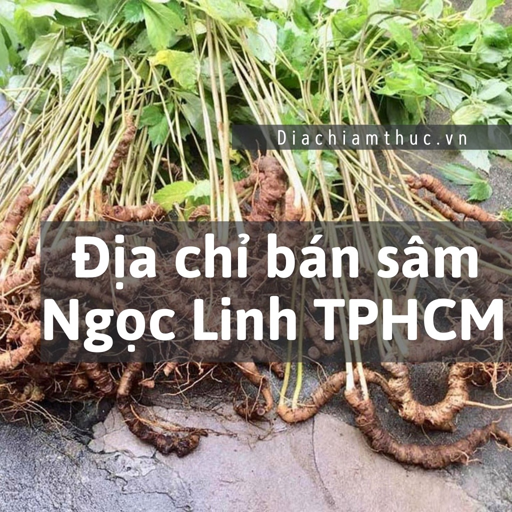 Địa chỉ bán sâm Ngọc Linh TPHCM