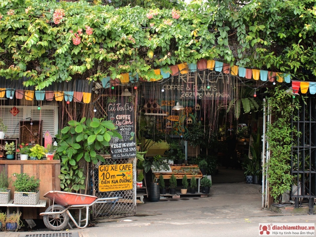 Cú trên cây Garden