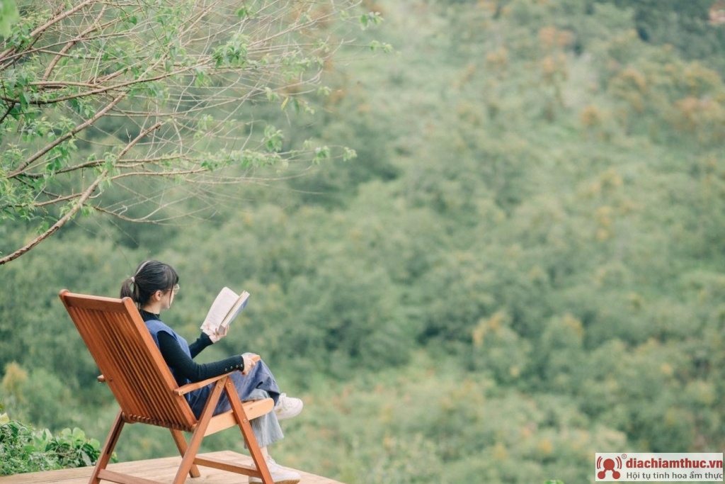 In The Forest - quán cà phê rừng thông Đà Lạt