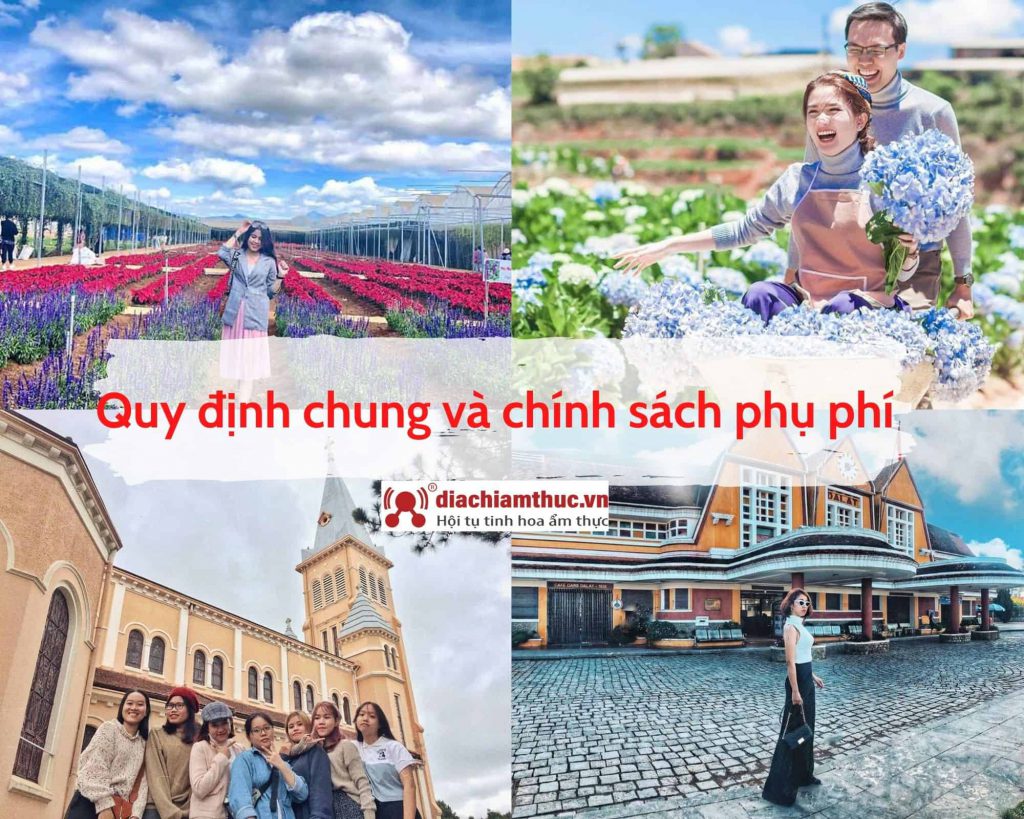 Quy định chung và chính sách khi đặt tour 1 ngày