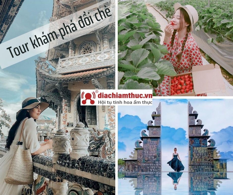 Tour khám phá đồi chè