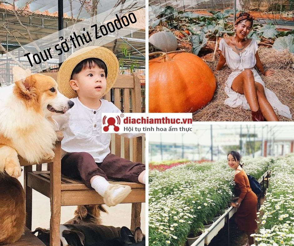 Tour tham quan sở thứ zoodoo