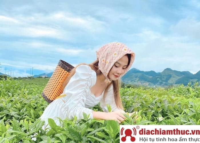 Du lịch Mộc Châu tháng 6, 7