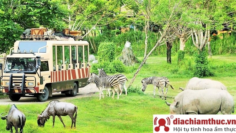 Thăm sở thú FLC Zoo Safari