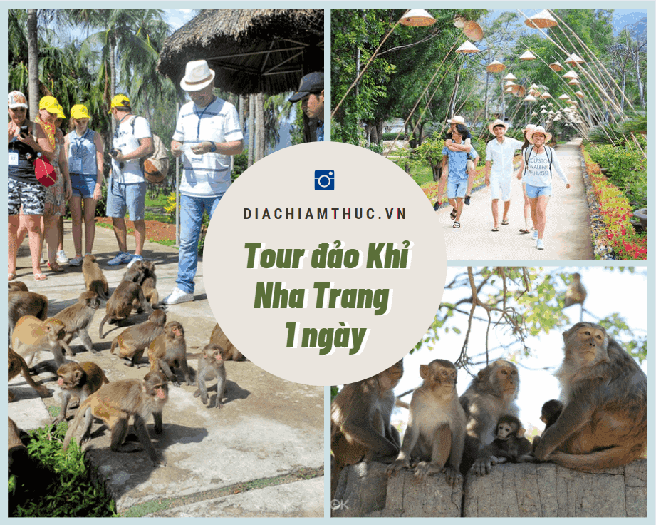 Tour đảo Khỉ Nha Trang 1 ngày