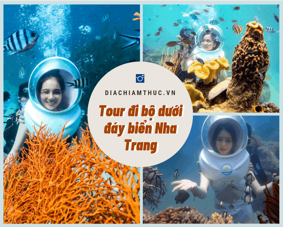 Tour đi bộ dưới đáy biển Nha Trang