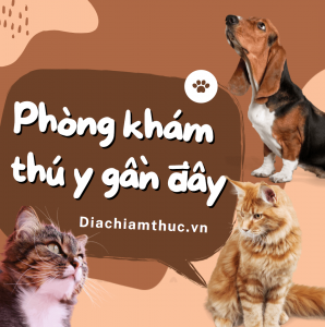 Phòng khám thú y gần đây