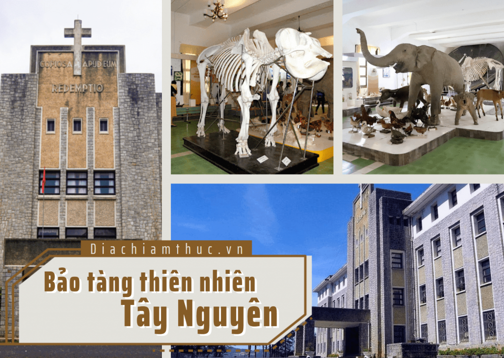 Bảo tàng thiên nhiên Tây Nguyên