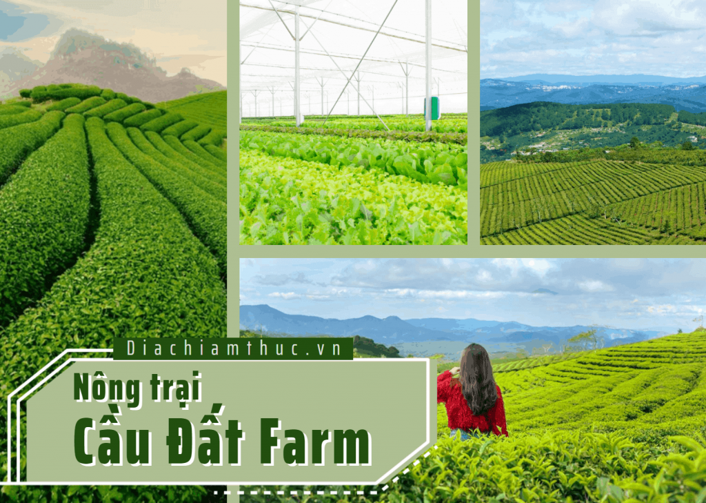 Nông trại Cầu Đất Farm