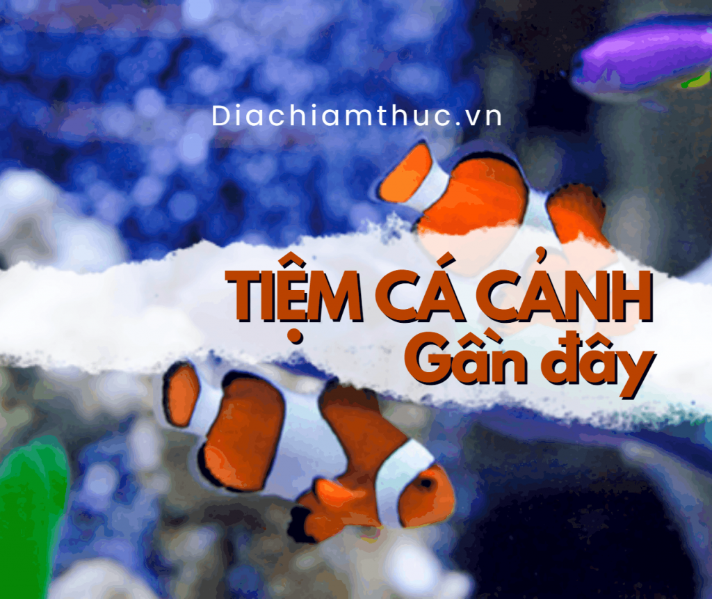 Tiệm cá cảnh gần đây