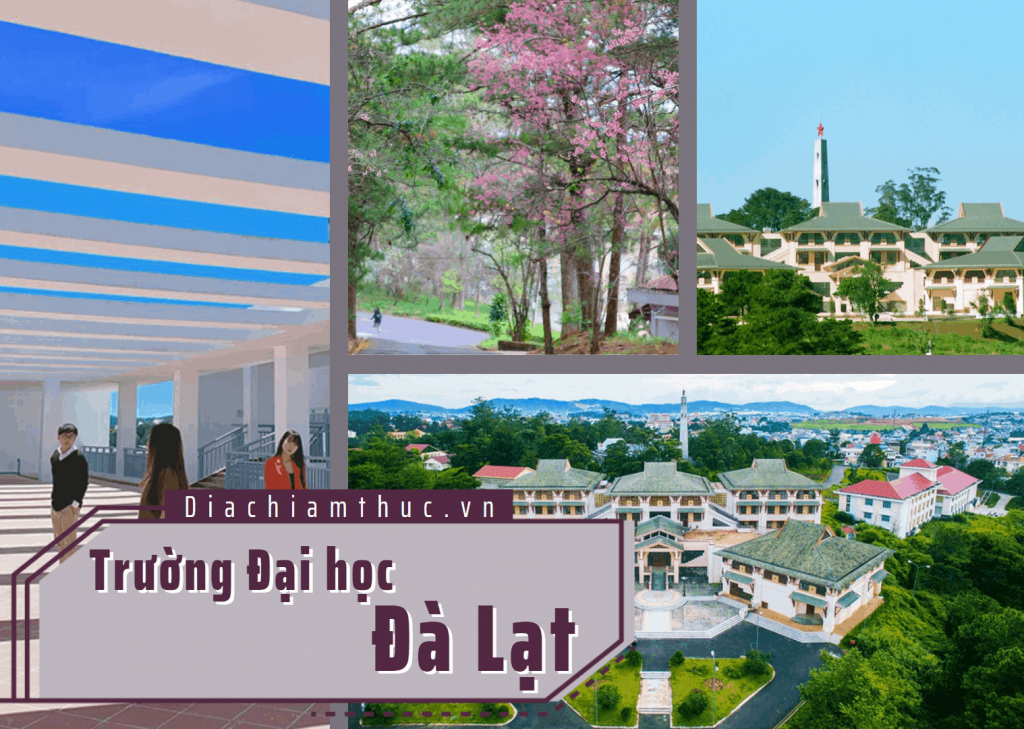 Trường Đại học Đà Lạt