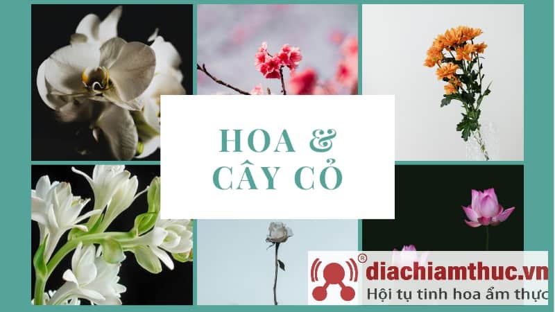 gợi ý các tên cho bé