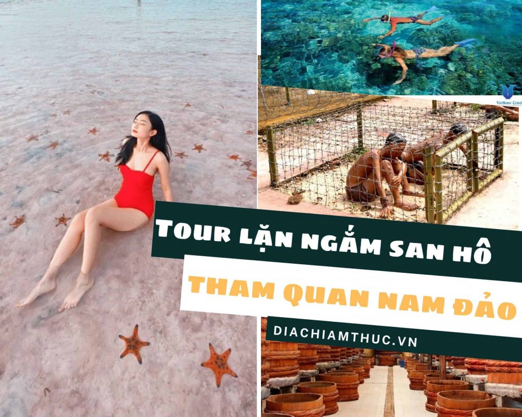 Tour lặn ngắm san hô