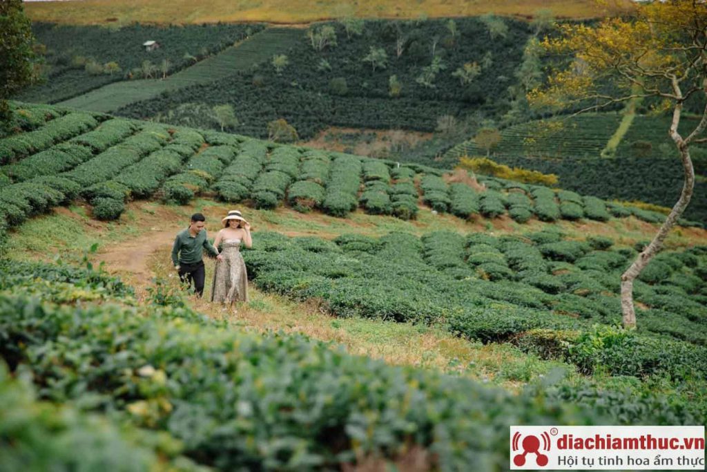 Cầu Đất Farm