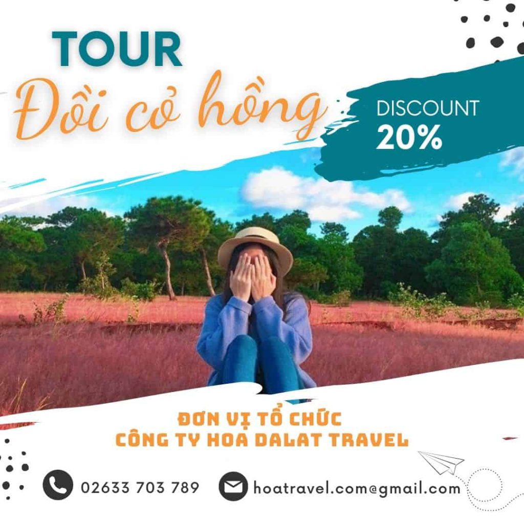 Tour đồi cỏ hồng