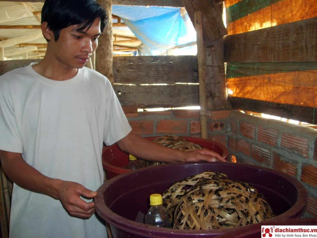 Trang trại nuôi dế