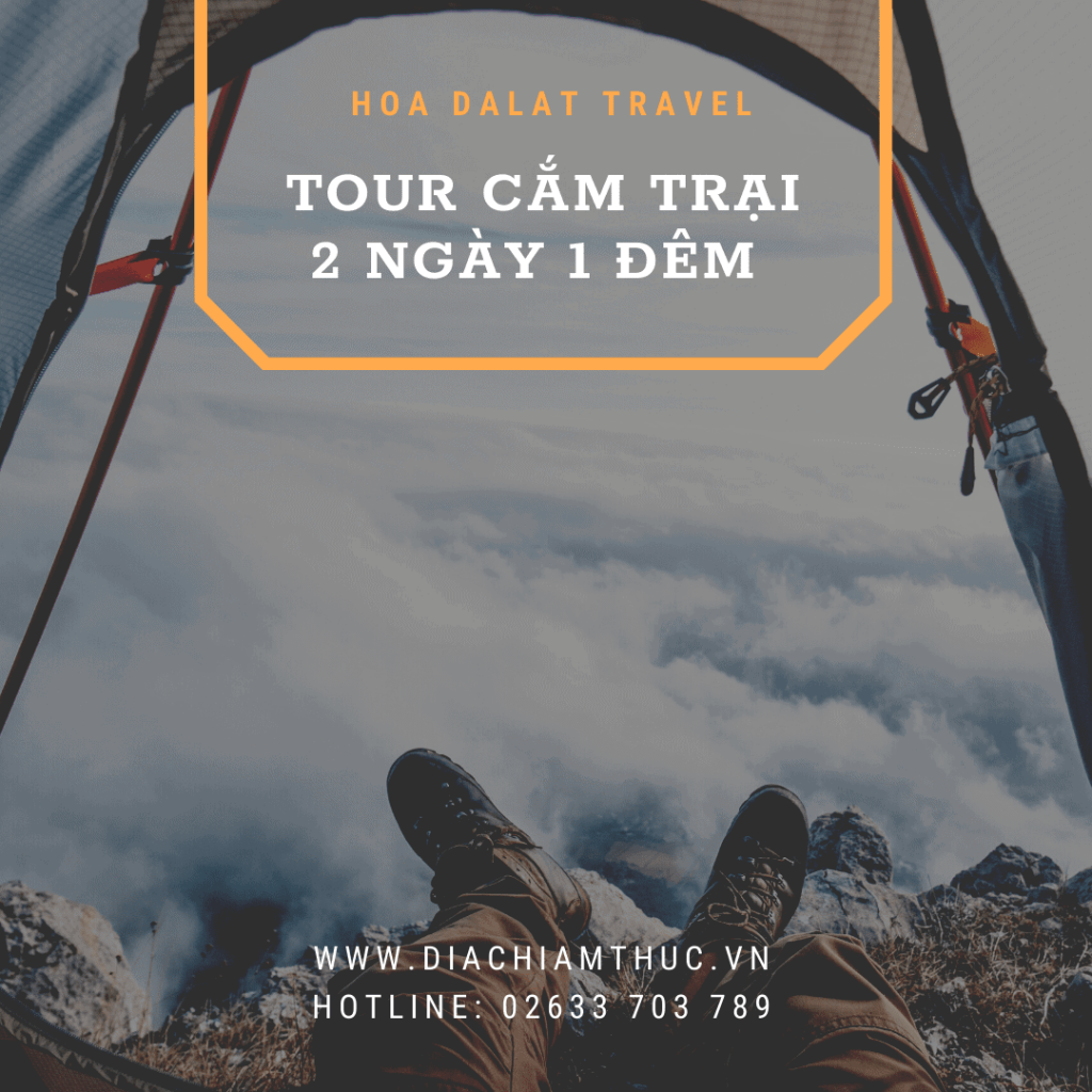 Tour cắm trại Đà Lạt 2 ngày 1 đêm