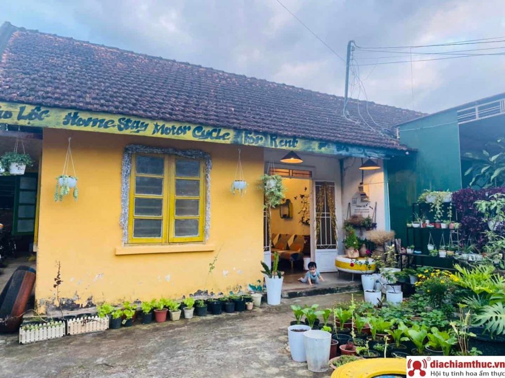 Bảo Lộc homestay