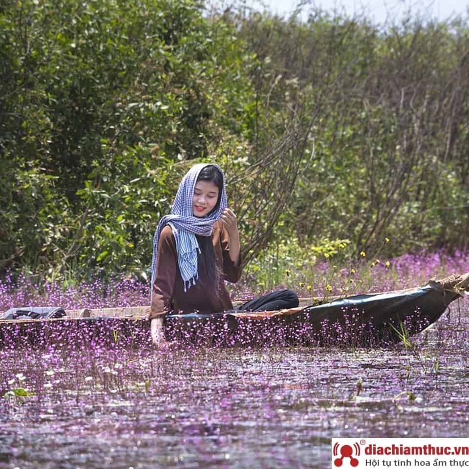 Cần chuẩn bị những gì