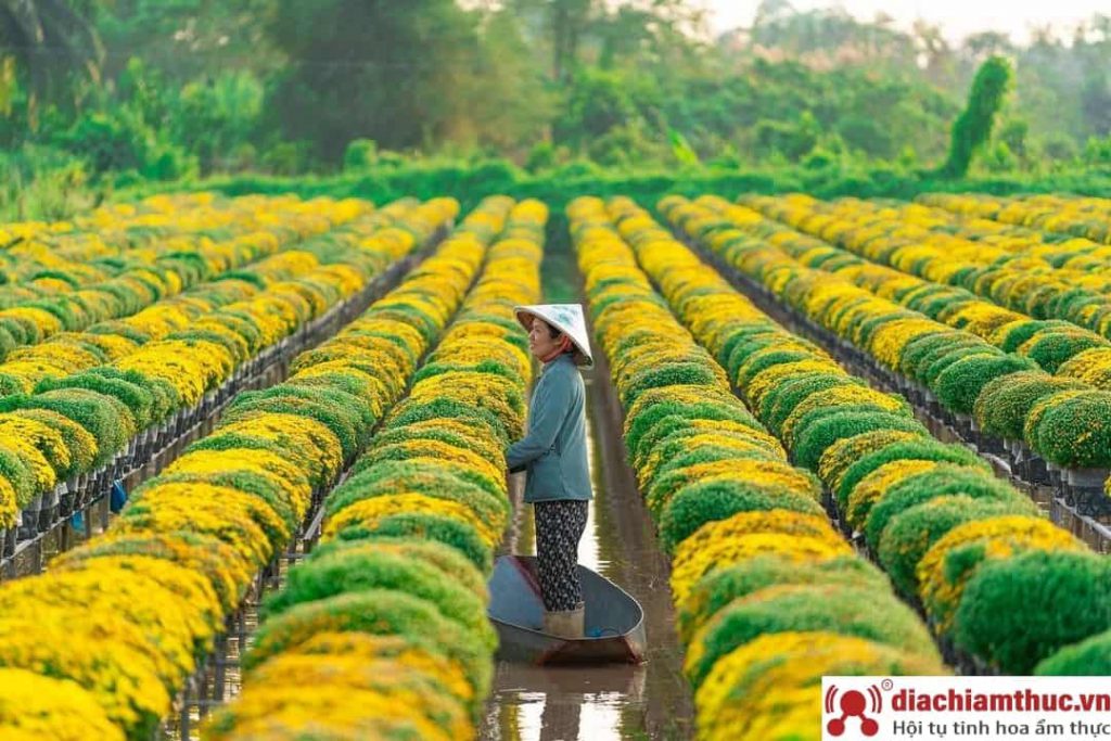 Thời điểm du lịch Đồng Tháp lý tưởng