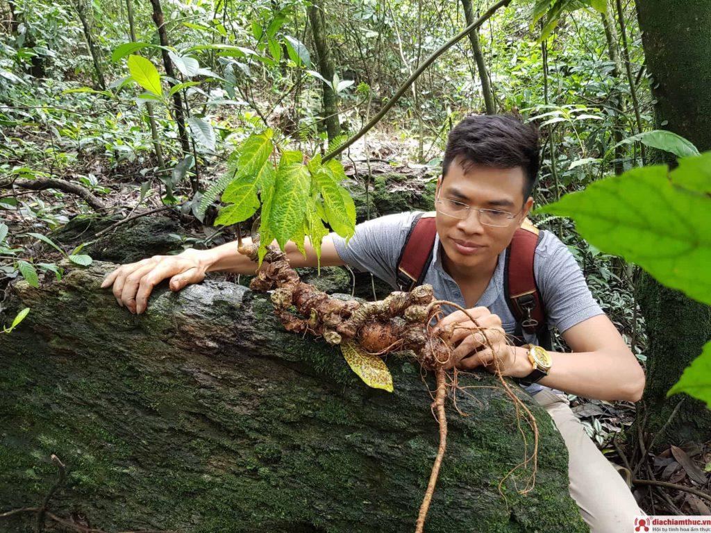 Khai thác tự nhiên 