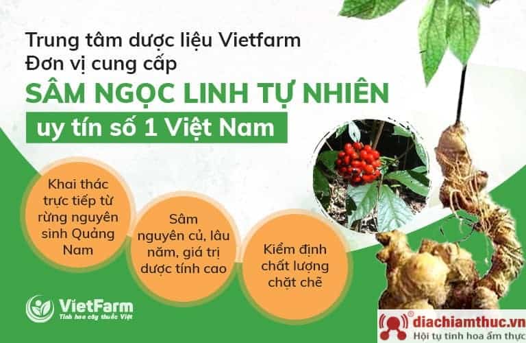 Mua sâm Ngọc Linh uy tín