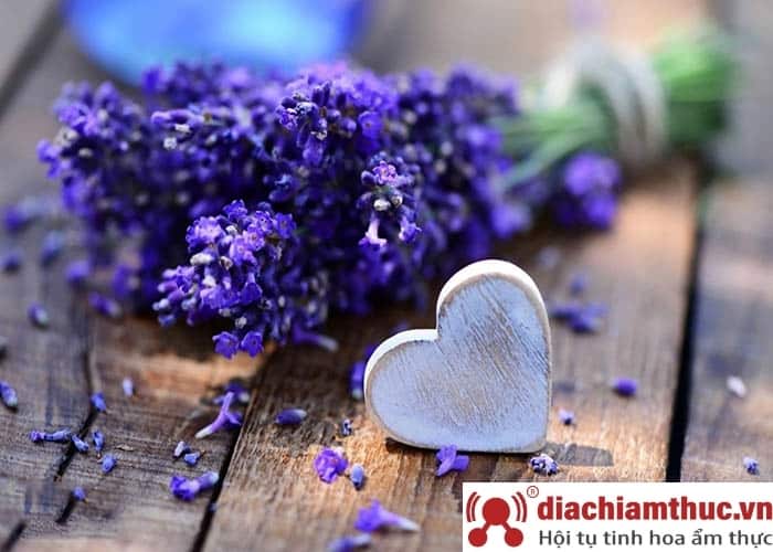 Sự tích về loài hoa Lavender 