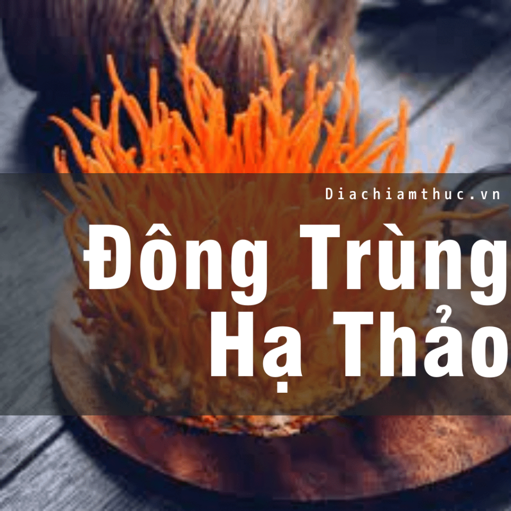 Đông trùng hạ thảo