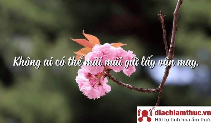 Những triết lý cuộc sống