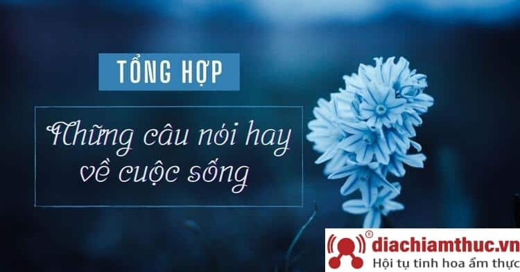 Những triết lý tình yêu, cuộc sống