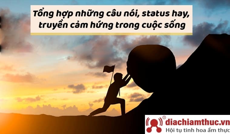 Tổng hợp những câu nói hay