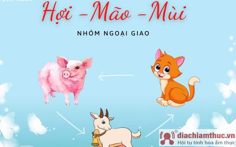 Tam hợp tuổi hợi mão mùi