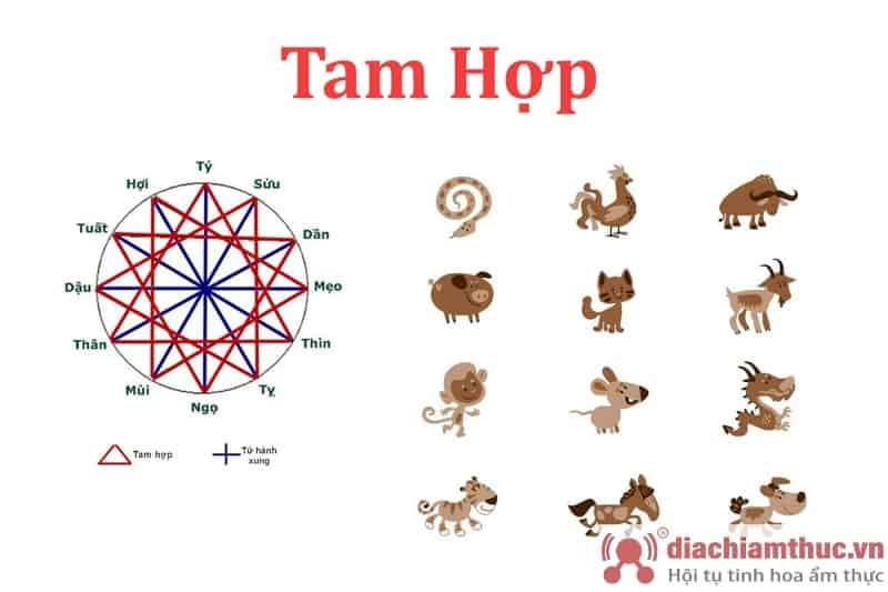 Tìm hiểu về tam hợp