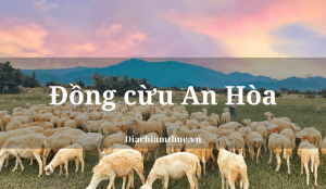 Đồng cừu An Hòa