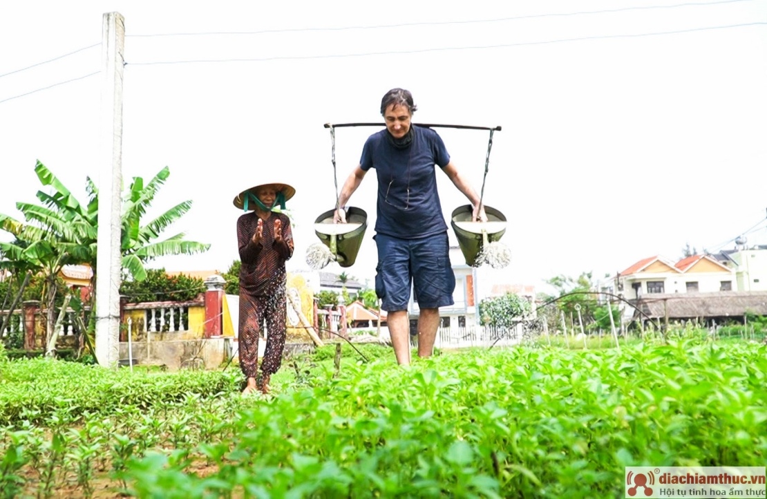 Nét hấp dẫn và khác biệt của làng nghề Trà Quế