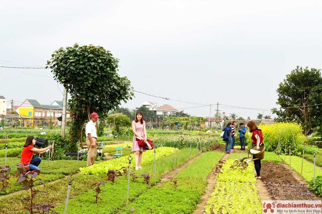 Quá trình trở thành một địa điểm du lịch hấp dẫn