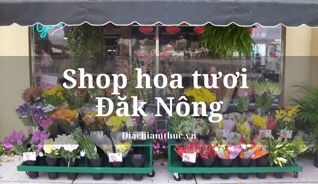 Shop hoa tươi Đăk Nông