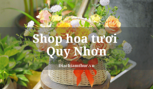 Shop hoa tươi Quy Nhơn