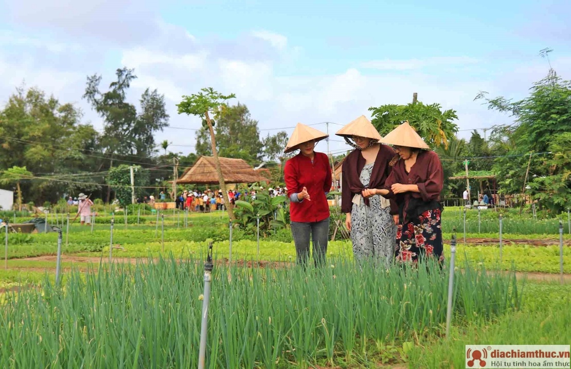 Vé vào cửa ở đây tương đối thấp