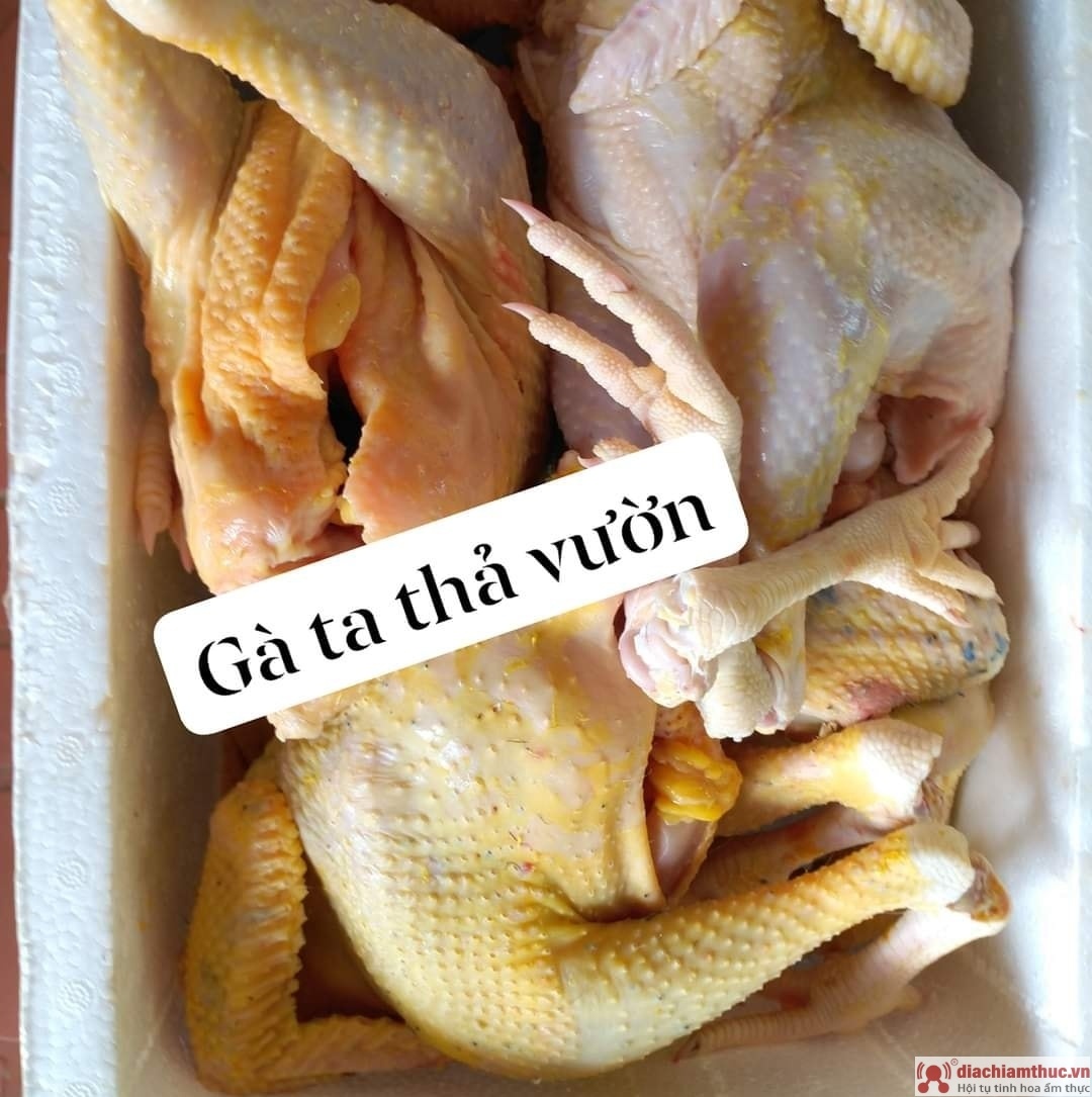 Gà được chọn là gà tơ hoặc thả gà vườn