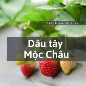 Dâu tây Mộc Châu