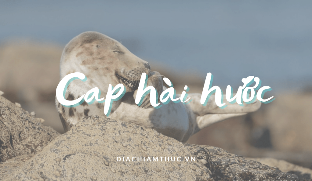 Cap hài hước