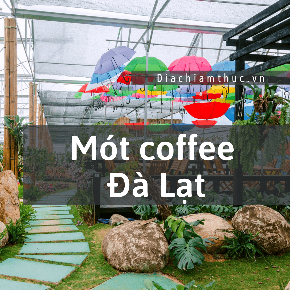 Mót coffee Đà Lạt